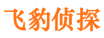 新源市侦探公司